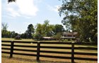 Property photo 17 - 1,575+/- Acres Offered in 23 Tracts